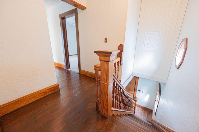 staircase with hardwood / wood-style floors