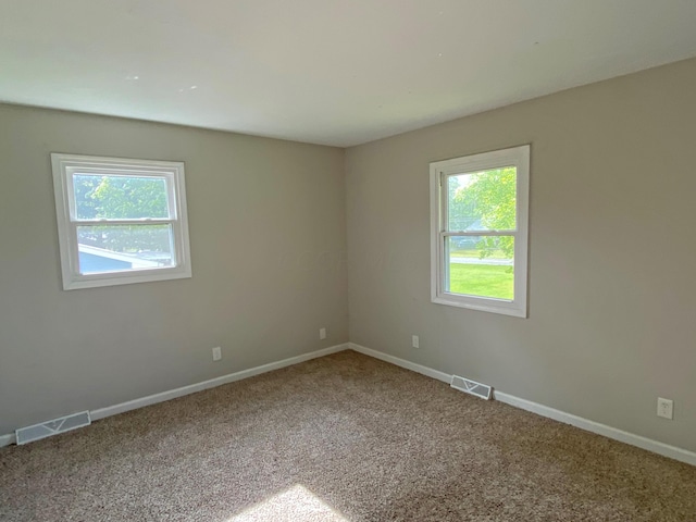 spare room featuring carpet and a wealth of natural light