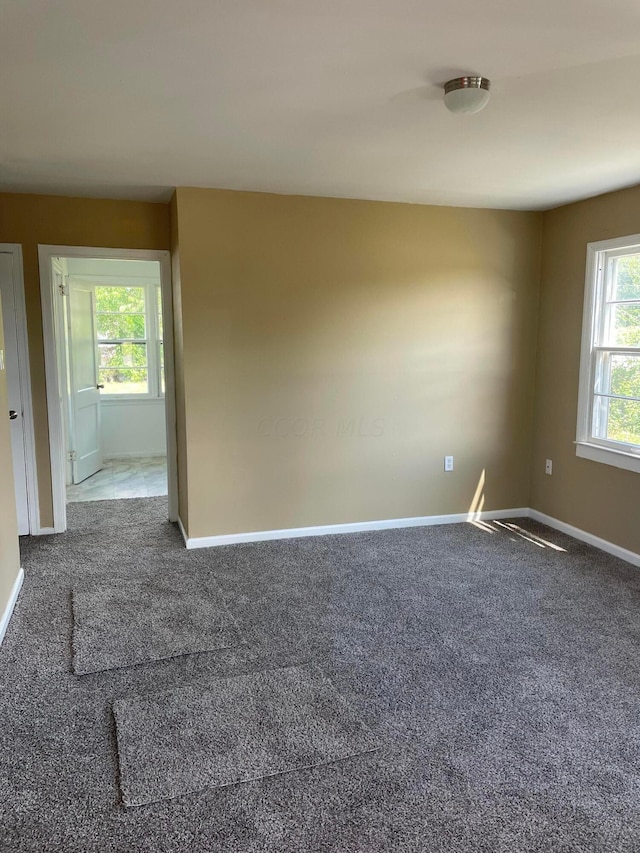 unfurnished room featuring carpet flooring