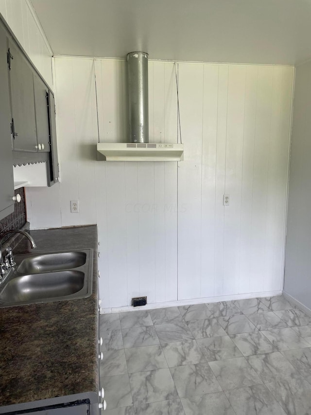 kitchen with ventilation hood and sink