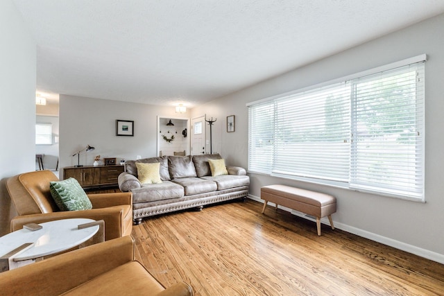 living room with light hardwood / wood-style floors