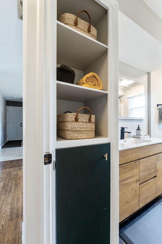 closet with sink