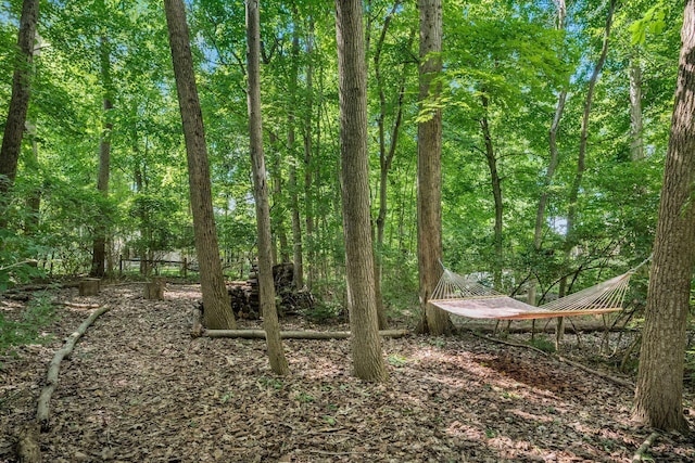 view of local wilderness