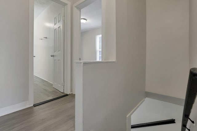 bathroom featuring hardwood / wood-style floors