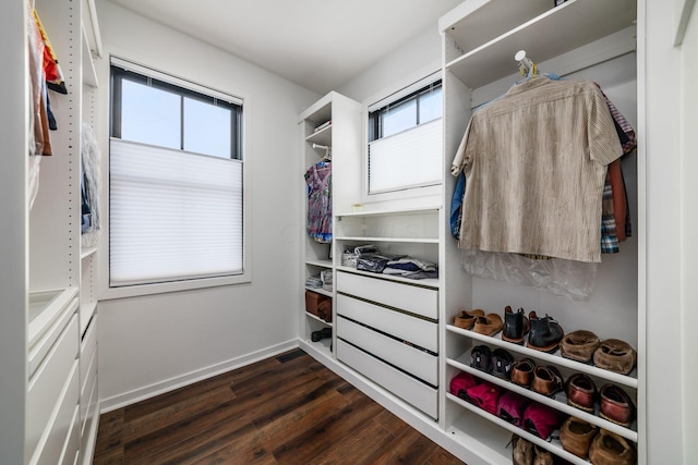 spacious closet with dark wood-type flooring