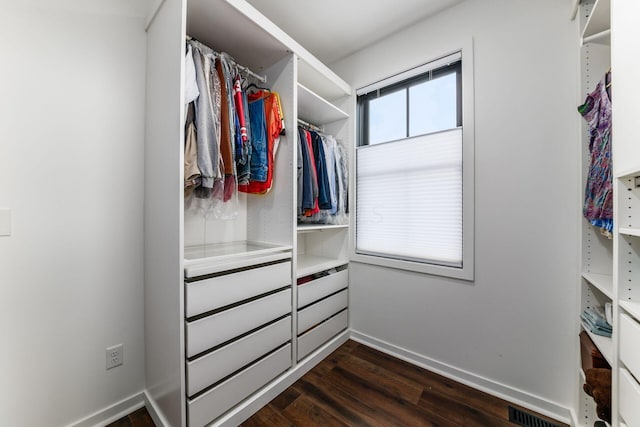 spacious closet with dark wood-type flooring