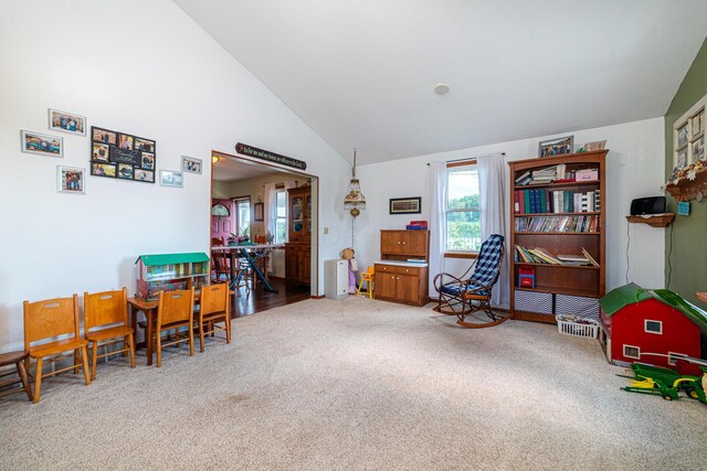 interior space featuring carpet floors and lofted ceiling