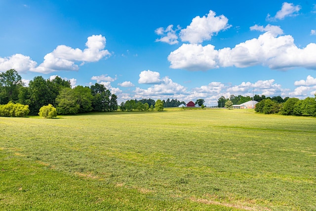 view of yard with a rural view