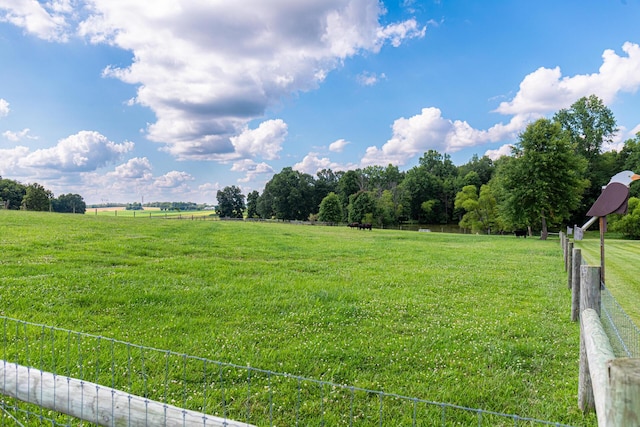 view of yard featuring a rural view