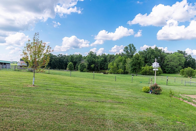 view of yard featuring a rural view