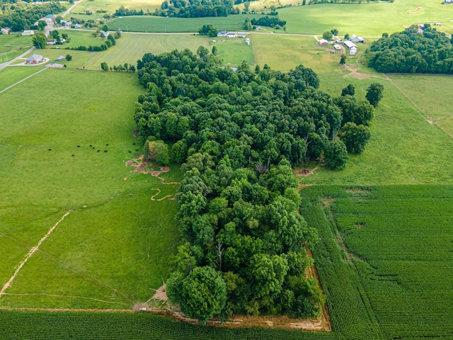 aerial view with a rural view