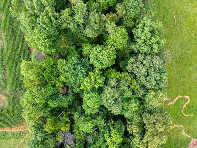 drone / aerial view with a rural view