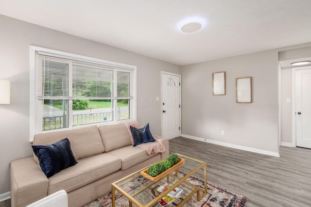 living room featuring hardwood / wood-style floors