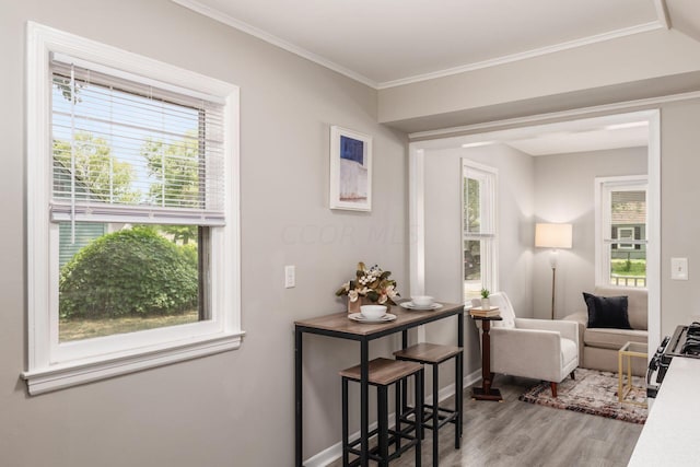 interior space featuring light hardwood / wood-style flooring and ornamental molding