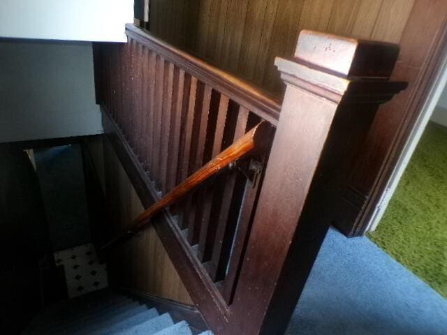 stairs featuring wood walls and carpet