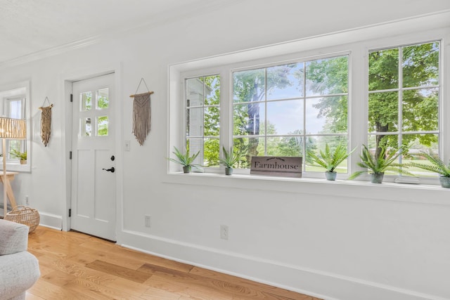 foyer with light hardwood / wood-style floors, a wealth of natural light, and crown molding