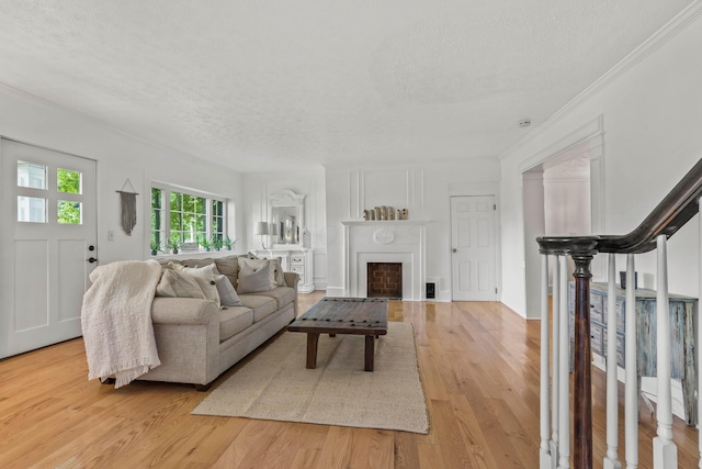 living room with a textured ceiling, light wood-type flooring, and crown molding