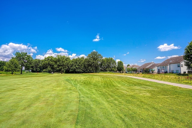 7265 Bromfield Dr, Canal Winchester, OH 43110 - view of green lawn