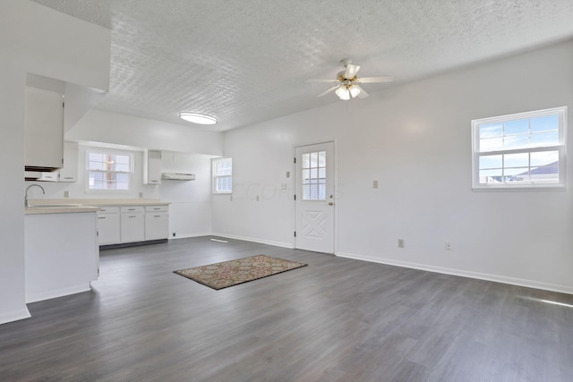 interior space with dark hardwood / wood-style floors, white cabinetry, and a wealth of natural light