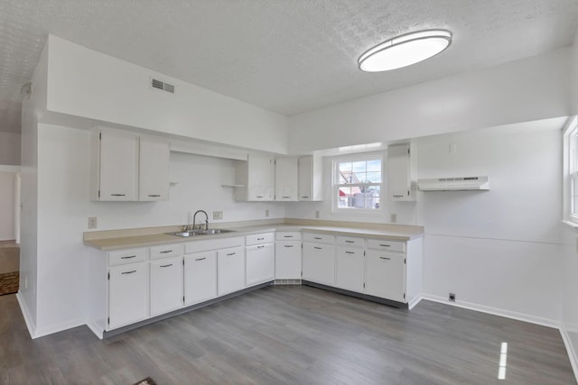 kitchen with white cabinets, dark wood-type flooring, and sink