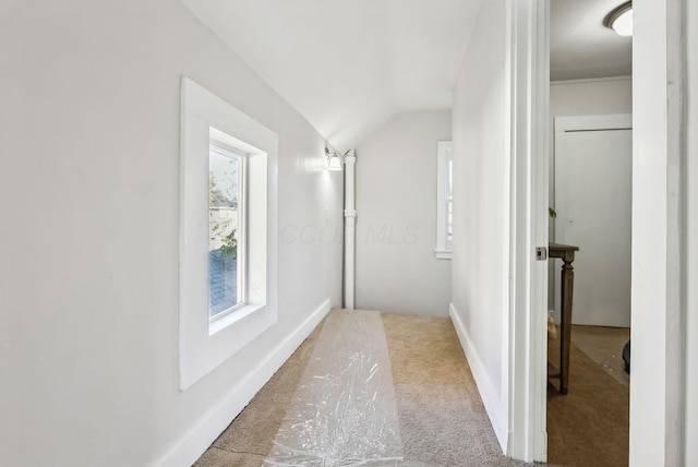 hall featuring carpet flooring and lofted ceiling