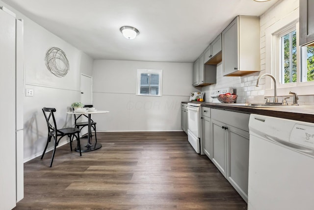 kitchen with white appliances, sink, gray cabinets, tasteful backsplash, and dark hardwood / wood-style flooring