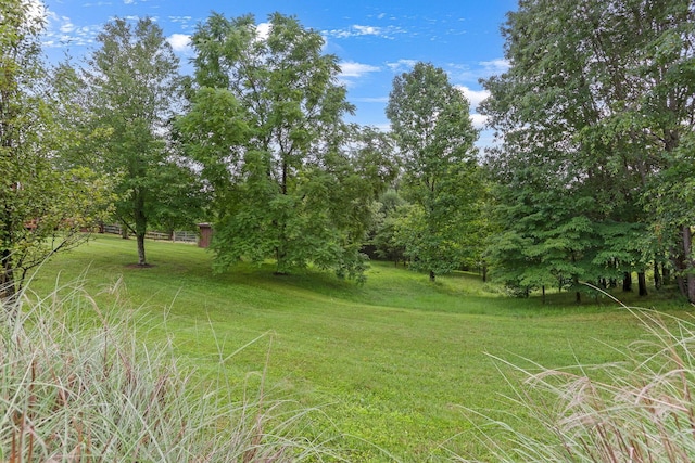 35 White Rd, Nelsonville, OH 45764 - photo 48