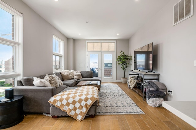 living room featuring hardwood / wood-style flooring and a healthy amount of sunlight