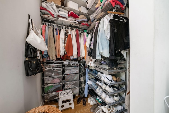 spacious closet with hardwood / wood-style floors