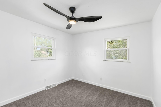 spare room with carpet floors, a wealth of natural light, and ceiling fan