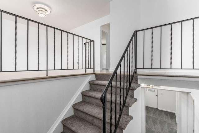 stairs featuring carpet floors