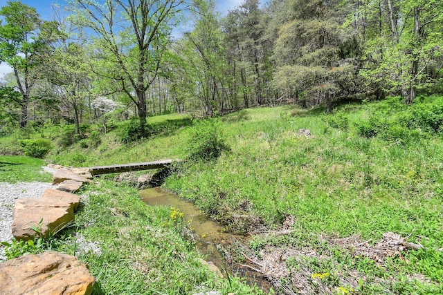 view of local wilderness