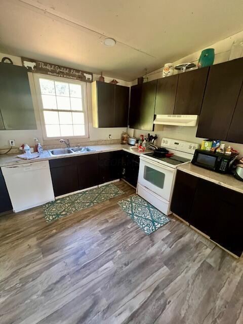 kitchen featuring dark brown cabinets, sink, light hardwood / wood-style floors, and white appliances