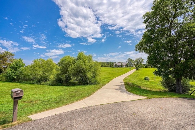 view of property's community featuring a yard