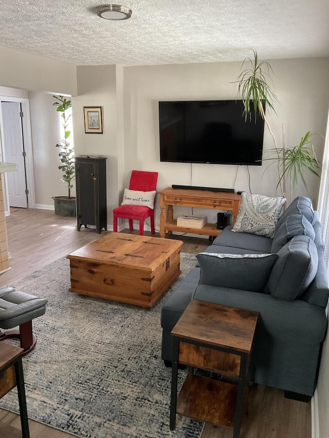 living room featuring wood-type flooring and a textured ceiling