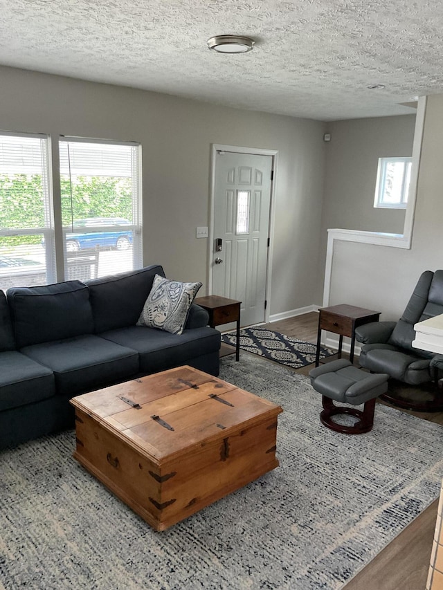 living room featuring hardwood / wood-style floors and a textured ceiling