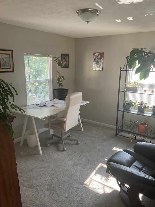 home office featuring carpet floors