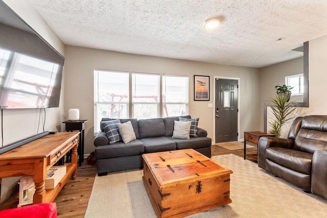 living room with light hardwood / wood-style flooring and a textured ceiling