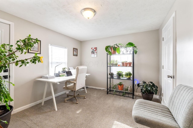 office space with a textured ceiling and carpet