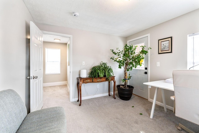 office with light colored carpet and a textured ceiling