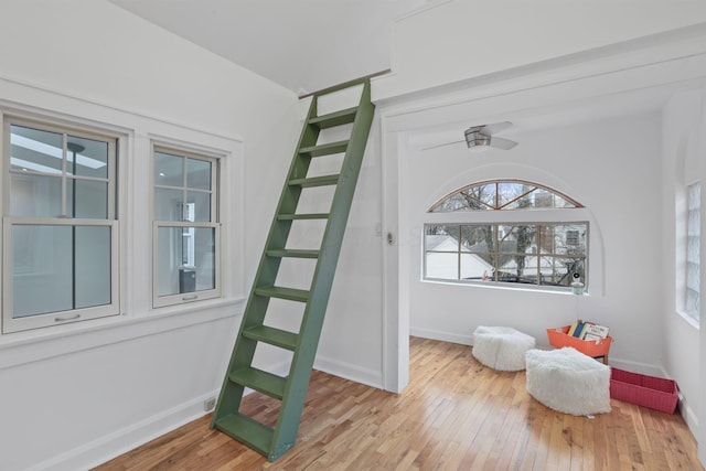 stairway featuring wood-type flooring