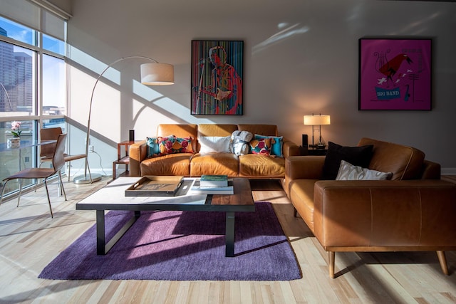 living room with light hardwood / wood-style floors