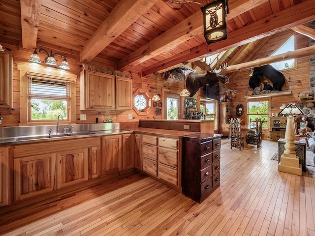 kitchen with a wealth of natural light, wooden walls, and light hardwood / wood-style floors