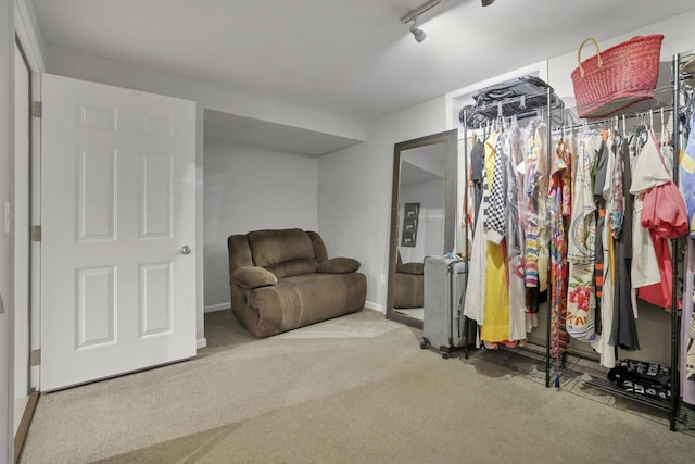 walk in closet with carpet floors