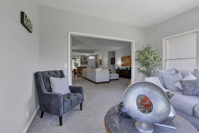 living room with carpet flooring