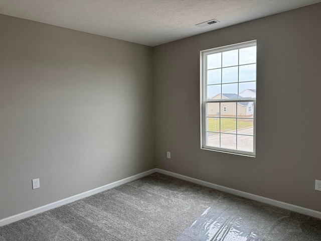 empty room featuring a textured ceiling and carpet floors