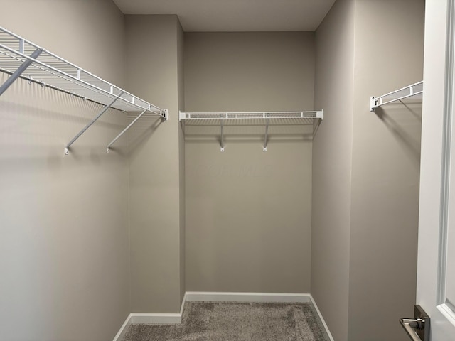 walk in closet featuring carpet