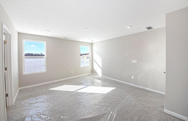 spare room featuring a textured ceiling and light colored carpet