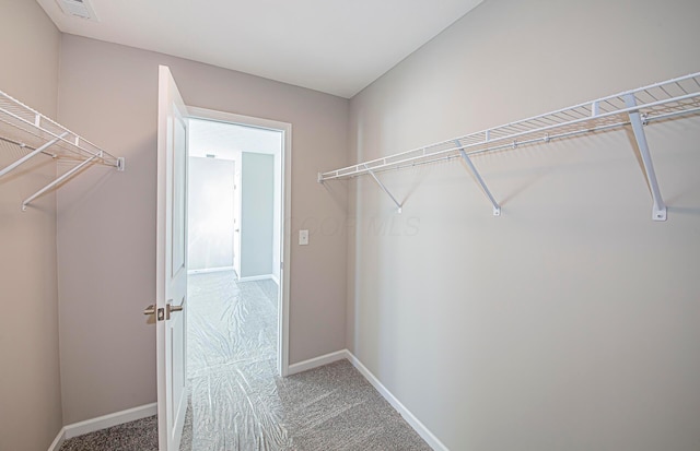 spacious closet featuring carpet