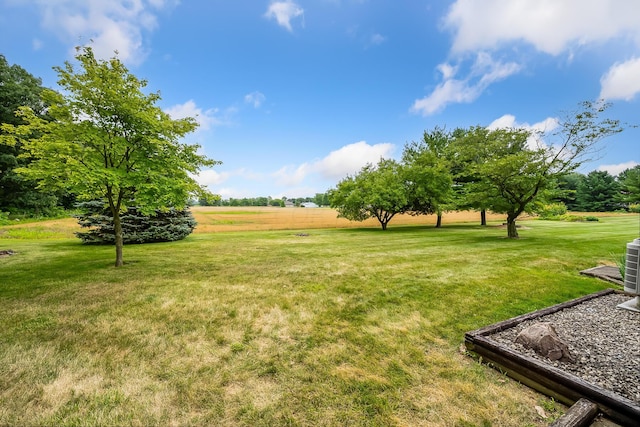 view of yard featuring a rural view